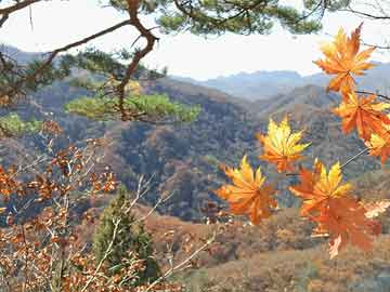 一肖一碼免費,公開香港,蒂格：米德爾頓很可能會進(jìn)名人堂實際案例解析說明_精裝款94.88.45