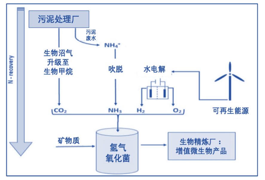 冷卻工藝,冷卻工藝與創新計劃分析，探索未來的技術路徑與策略部署,快速響應執行策略_續版18.89.95