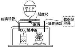 推車與偶氮化工藝判定的區(qū)別,推車與偶氮化工藝判定的區(qū)別，數(shù)據(jù)解答解釋定義與版型差異詳解,數(shù)據(jù)分析決策_(dá)eShop78.21.33