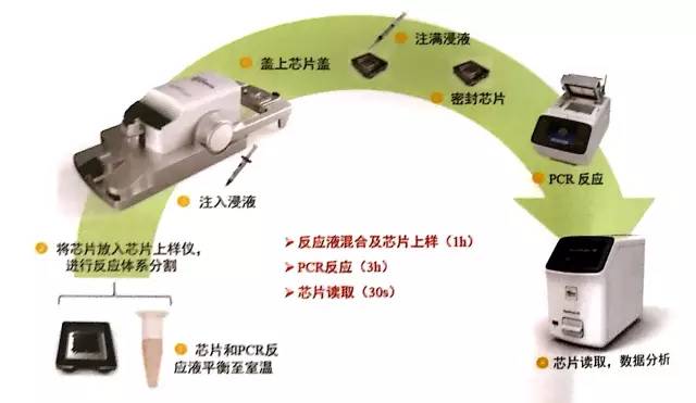 pcr擴增儀工作原理,PCR擴增儀工作原理與實地評估數據方案,收益成語分析定義_Console22.93.50