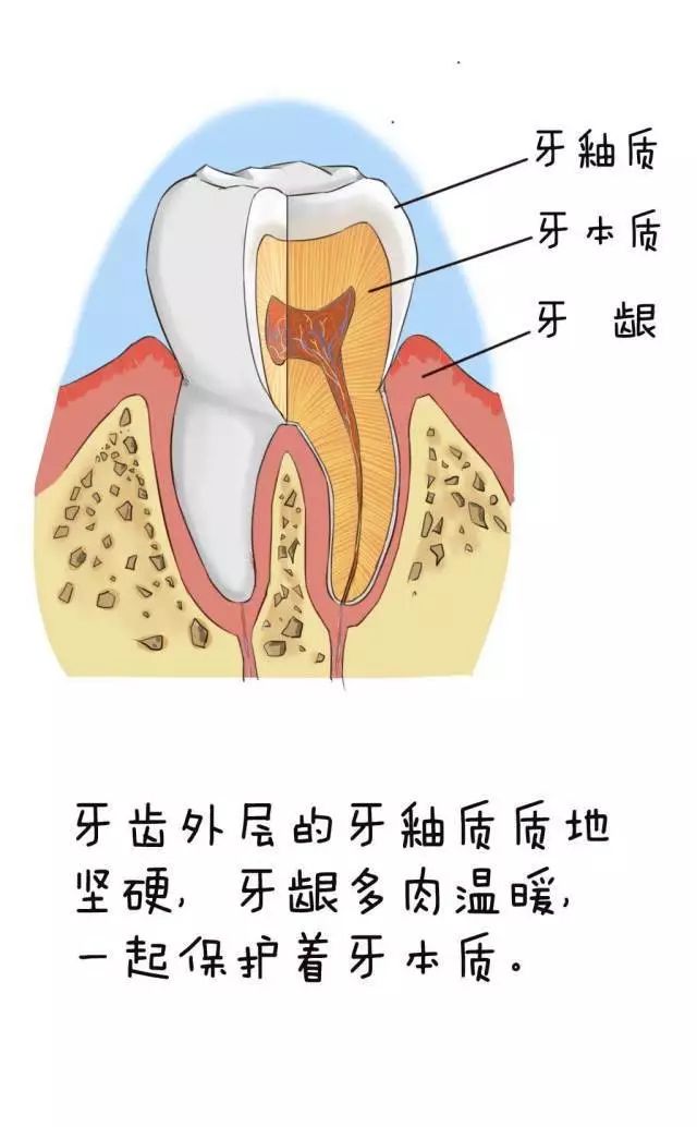 牙體種植后多久可以抽煙喝酒,高效計劃設計下的牙體種植恢復與煙酒消費指南，牙體種植后多久可以抽煙喝酒？,深入解析數據應用_版次80.85.58