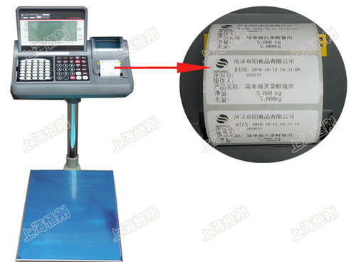 電子臺秤表頭接線圖,電子臺秤表頭接線圖與精細化策略解析——游戲版76.56.17探討,精細設計解析_4K29.45.38