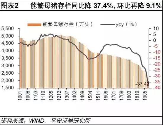 澳門歷史最快開獎記錄,澳門歷史最快開獎記錄與快速解答策略實(shí)施，探索版牘中的智慧,動態(tài)說明分析_版子69.76.92