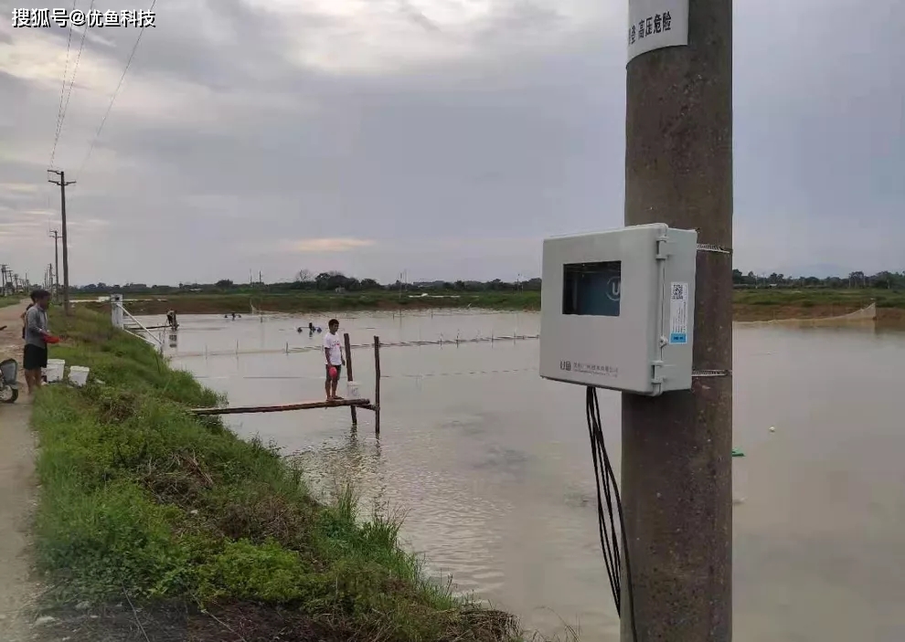 魚塘氧氣機原理,魚塘氧氣機原理、適用性執行方案及其在現代漁業中的應用,持續計劃實施_ChromeOS90.87.14