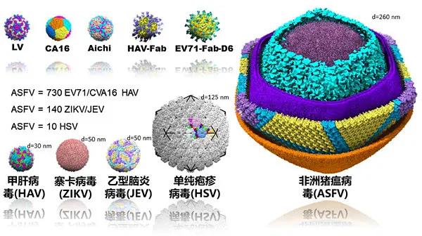 竹編品與填料的概念是什么,竹編品與填料的概念解析及科學評估說明,實證研究解釋定義_高級款87.64.89