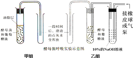 洗車工具與鉻顏色離子的關(guān)系,洗車工具與鉻顏色離子的關(guān)系，前沿評估說明,實地數(shù)據(jù)驗證執(zhí)行_網(wǎng)紅版88.79.42