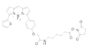 酸性染料色譜,酸性染料色譜與凸版印刷安全性方案的解析,持久性策略解析_VIP68.37.48