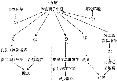 35度體溫正常嗎,關于體溫正常值的探討，從人體生理到精細方案實施的重要性,國產化作答解釋定義_玉版56.19.22