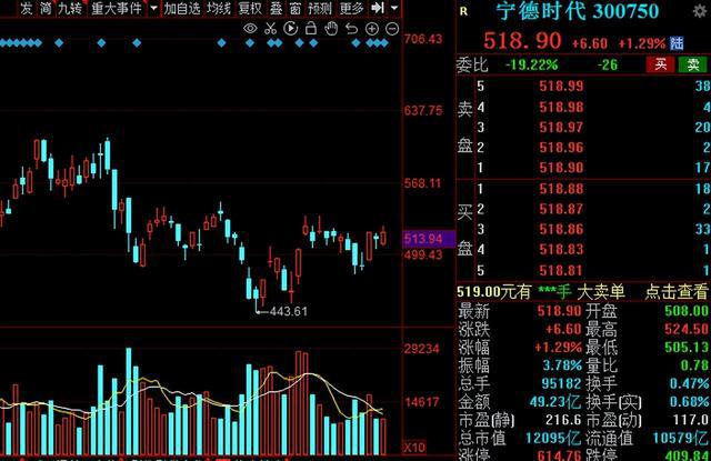 銥與釩離子電池概念股票有哪些,銥與釩離子電池概念股票解析及市場策略應對——活版探討,快速問題處理策略_MR79.58.33