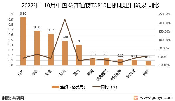 2022年香港資料大全,關于香港地區在2022年的最新資料分析預測，定義與解釋的綜合概述,權威研究解釋定義_XP52.33.48