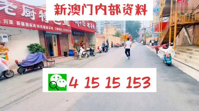 2024澳門天天開好彩精準(zhǔn)24碼,探索未來游戲世界，澳門天天開好彩的動態(tài)解釋與精準(zhǔn)預(yù)測策略,效率資料解釋定義_設(shè)版88.96.77