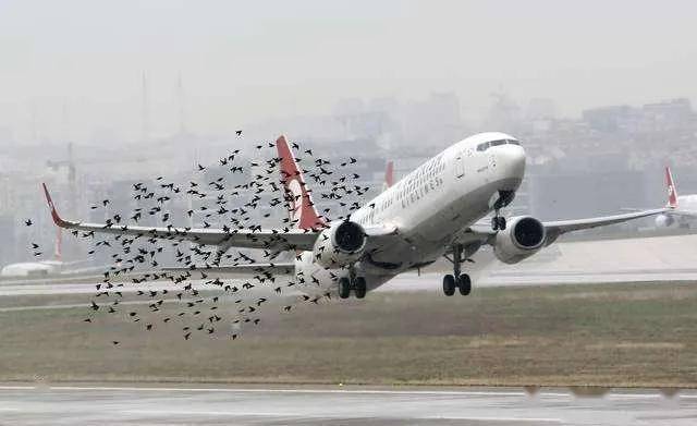 韓國首次確認失事客機遭遇鳥擊的消息確實存在。據(jù)韓國航空產(chǎn)業(yè)技術(shù)研究院的分析報告，初步分析認為失事客機在墜落過程中解體可能與鳥擊有關(guān)。然而，這一事件的具體原因仍在調(diào)查中，最終結(jié)論需要等待官方調(diào)查報告的發(fā)布。建議關(guān)注官方渠道以獲取最新信息。