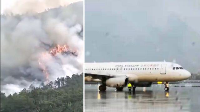 韓國(guó)和荷蘭發(fā)生事故的飛機(jī)機(jī)型均為波音737-800。其中，荷蘭事故發(fā)生在阿姆斯特丹機(jī)場(chǎng)，韓國(guó)事故發(fā)生在仁川國(guó)際機(jī)場(chǎng)附近的海域上空。以上內(nèi)容僅供參考，如需更多信息，建議訪問各國(guó)官方航空事故調(diào)查網(wǎng)站或查閱相關(guān)新聞報(bào)道。