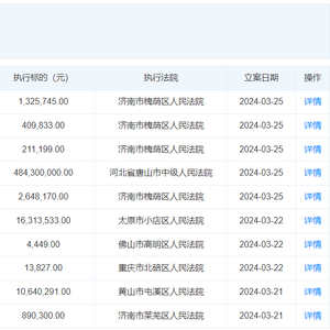 恒大地產(chǎn)等被強(qiáng)制執(zhí)行16.9億