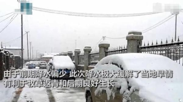 煙臺突降鵝毛大雪