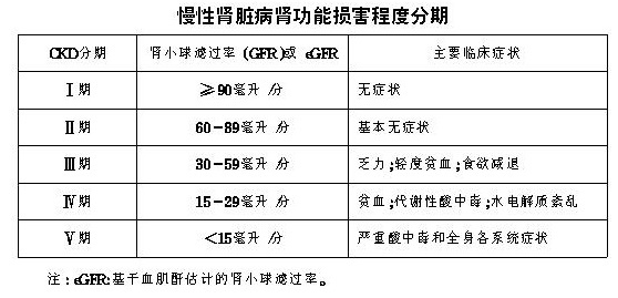 身體8項指標決定健康程度