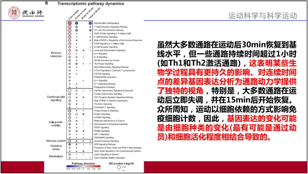 2025澳門內部資料,專業解答解釋定義_復古版88.81.44