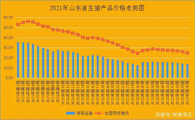 抓碼王,可靠策略分析_Z50.36.58