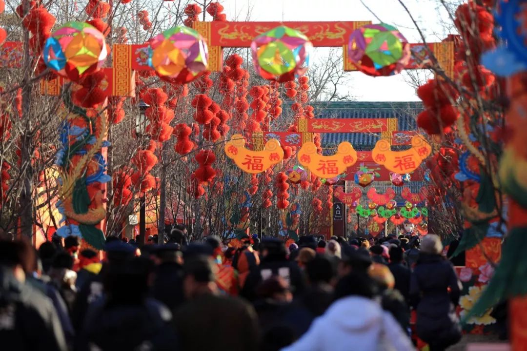 春節(jié)除了逛廟會(huì)還能干什么?,快速落實(shí)方案響應(yīng)_錢包版15.25.22