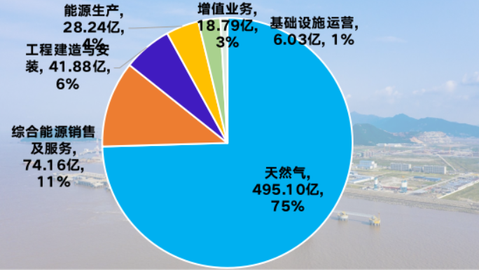 新奧2025年免費資料大全,全面執行分析數據_XE版80.21.46