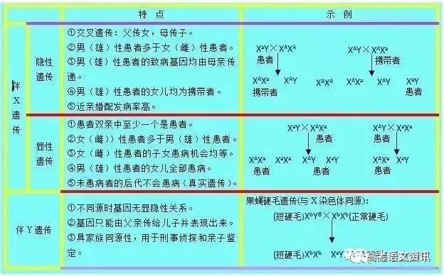 一馬中特免費資料公開2025一月:22日,全面設計實施策略_版位45.88.79