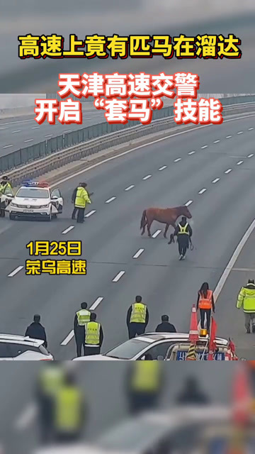 今晚香港出的什么特馬,深圳人形機(jī)器人街邊溜達(dá)火到國外