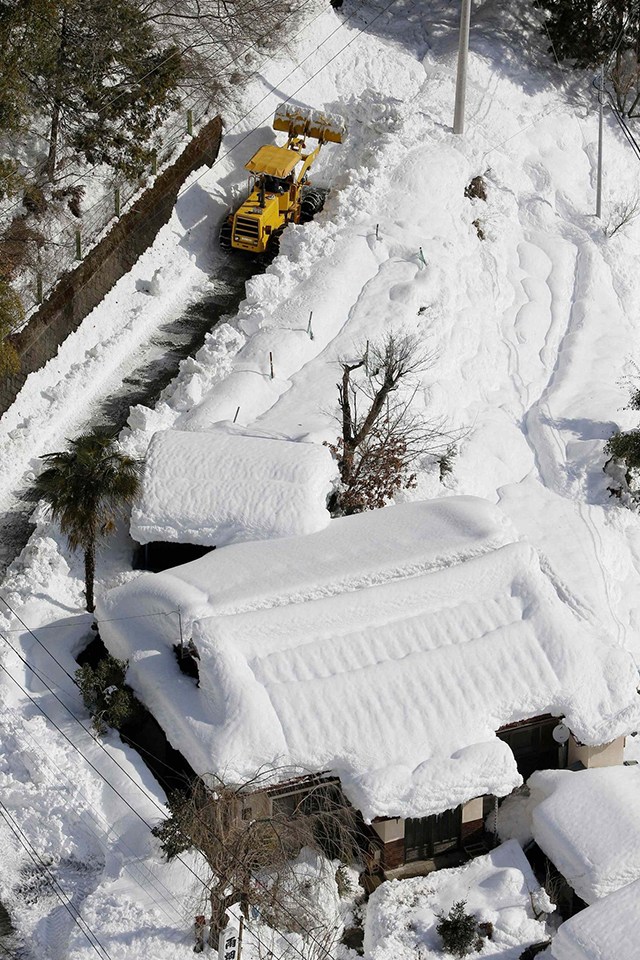 四肖選一肖免費公開資料,日本北海道大雪 超過40個航班被取消