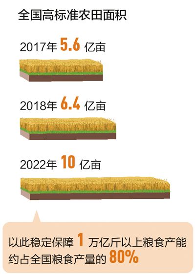 2025年2月18日 第65頁